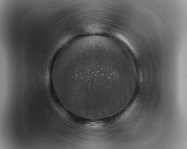 X0000094940447200711291356