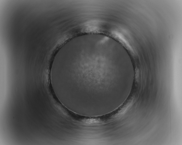 X0000094940449200711291356