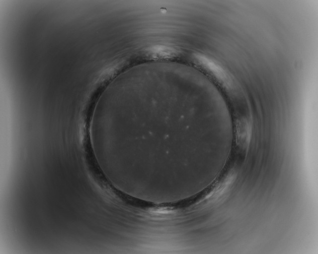 X0000094940451200711291356