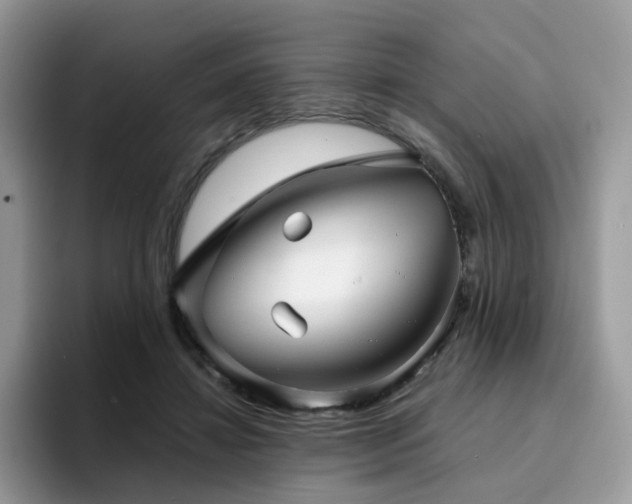 X0000094940452200711291356