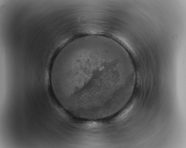 X0000094940453200711291356