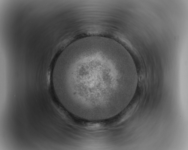 X0000094940454200711291356