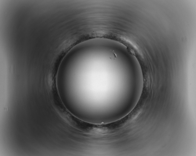 X0000094940455200711291357