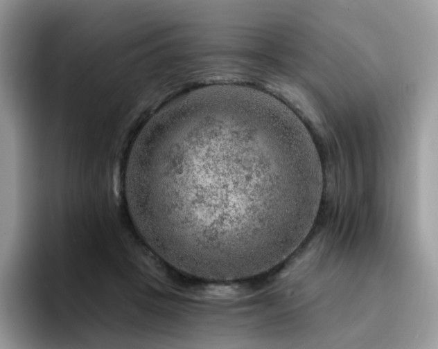 X0000094940457200711291357