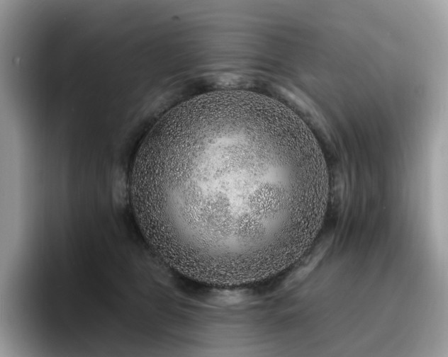 X0000094940469200711291357