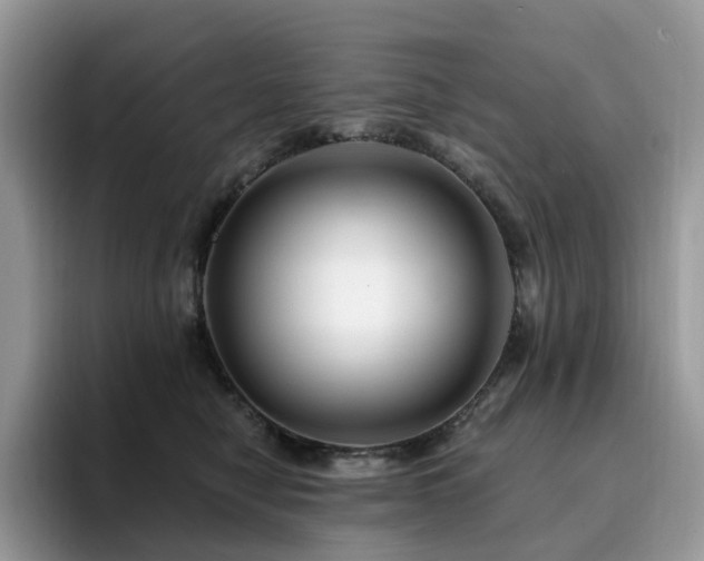 X0000094940470200711291357