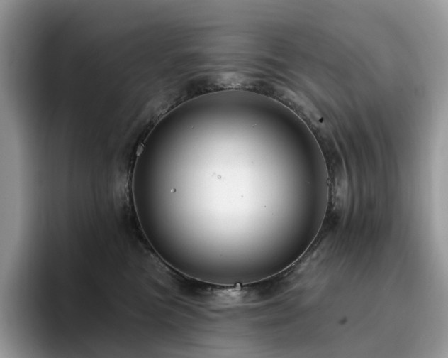 X0000094940473200711291357