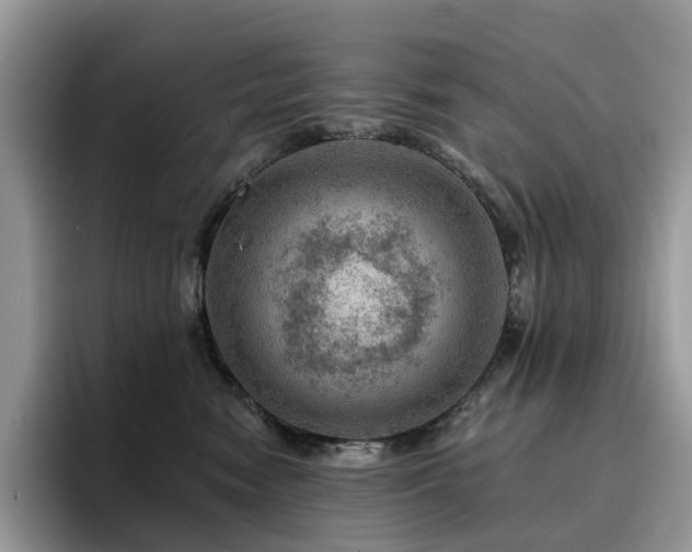 X0000094940474200711291357