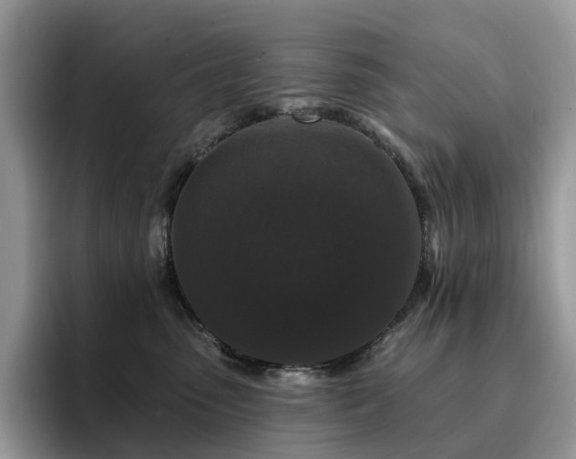 X0000094940475200711291357