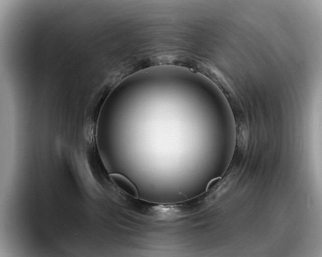 X0000094940477200711291357