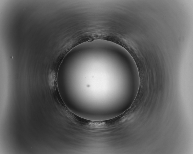 X0000094940480200711291357