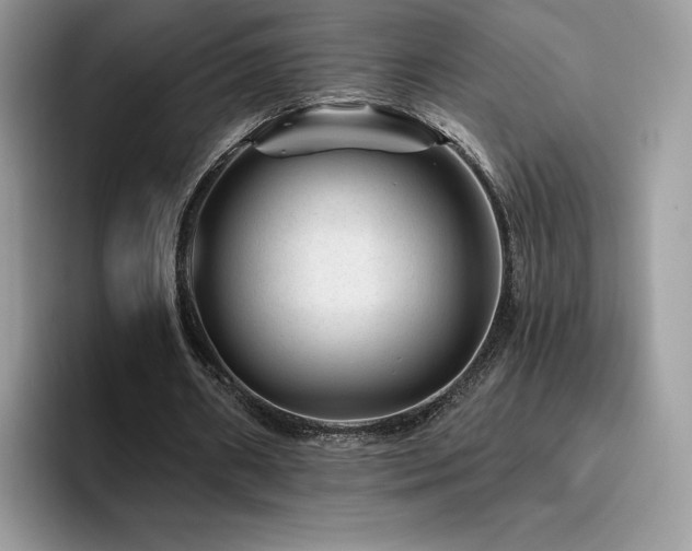 X0000094940482200711291356