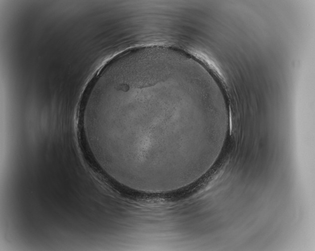 X0000094940483200711291356