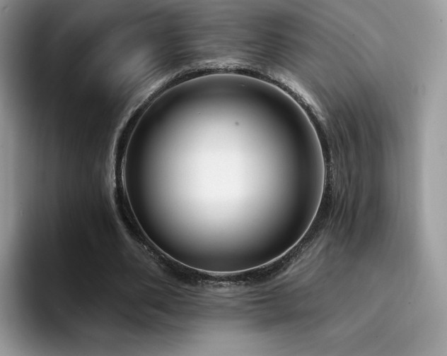 X0000094940486200711291356