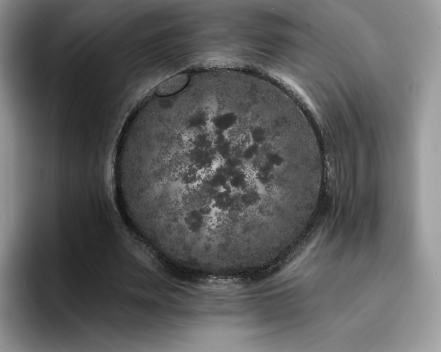 X0000094940487200711291356