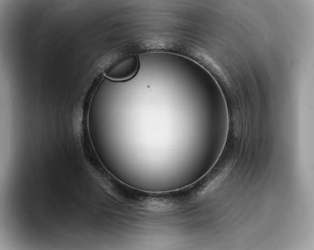X0000094940490200711291356