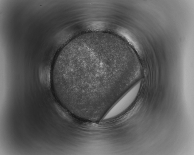 X0000094940493200711291356