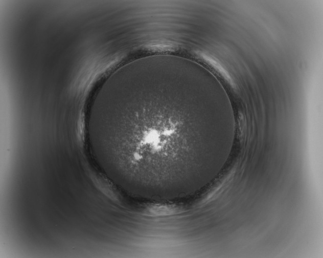 X0000094940494200711291356