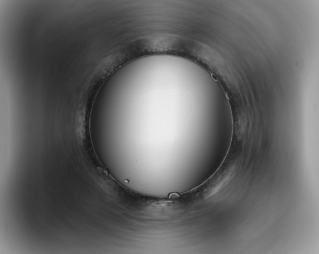 X0000094940497200711291356