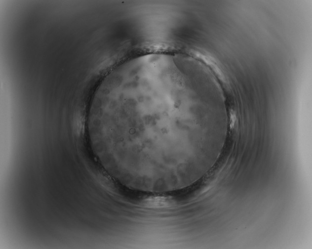 X0000094940499200711291356