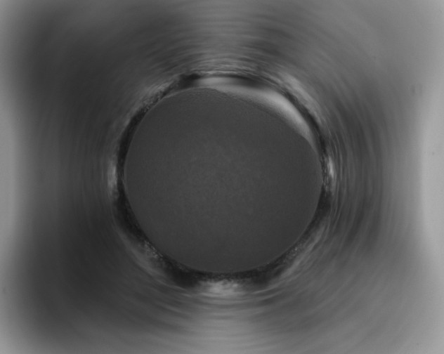 X0000094940500200711291356