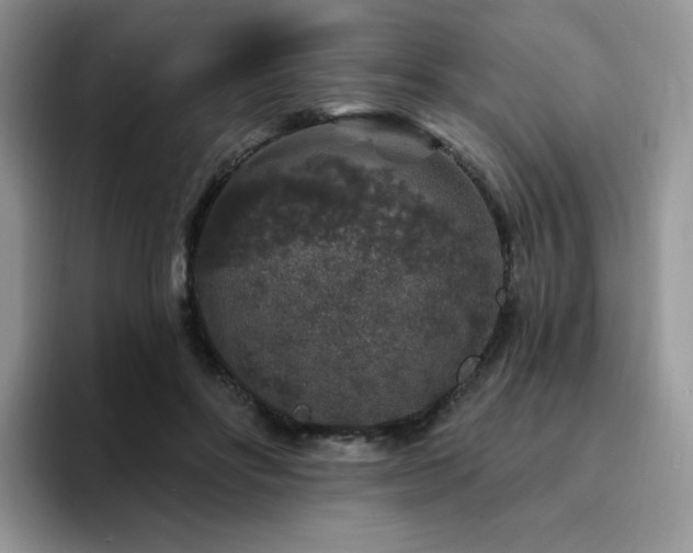 X0000094940502200711291356