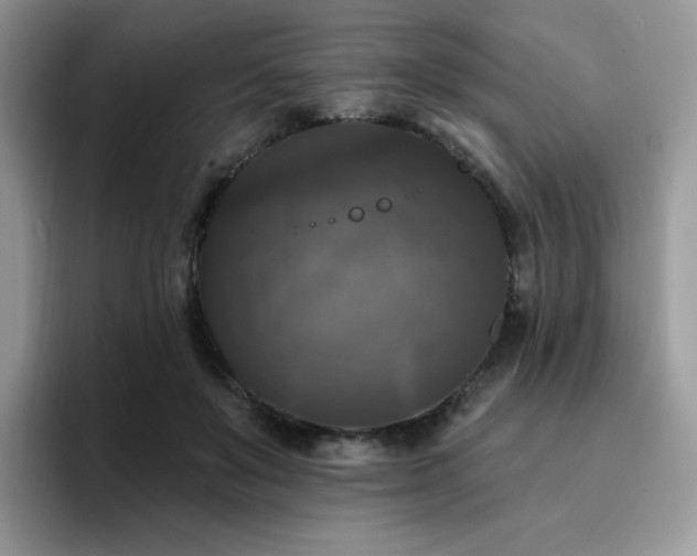 X0000094940503200711291356