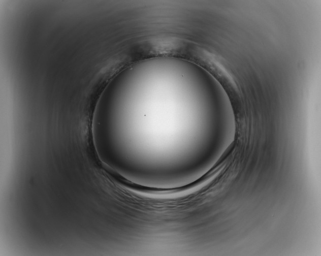 X0000094940505200711291356