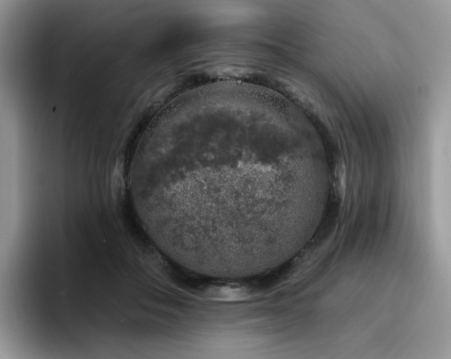 X0000094940506200711291356