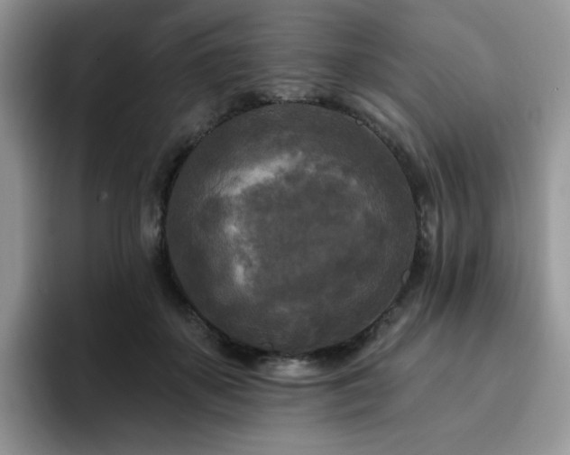 X0000094940507200711291356