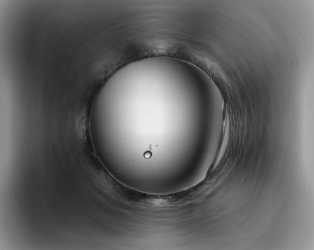 X0000094940509200711291356