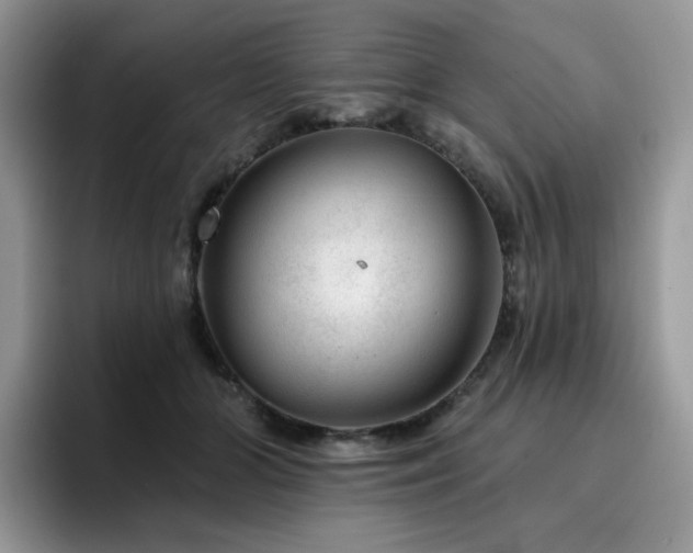 X0000094940510200711291356
