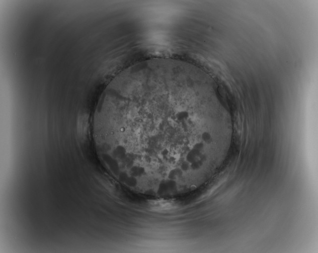 X0000094940511200711291356