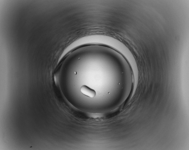 X0000094940512200711291356