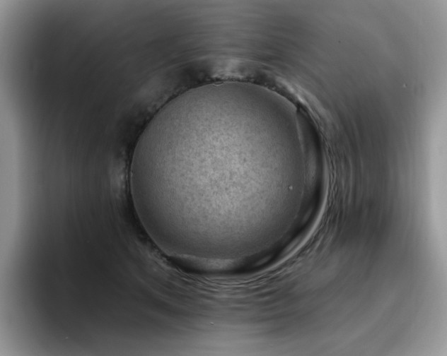X0000094940513200711291356