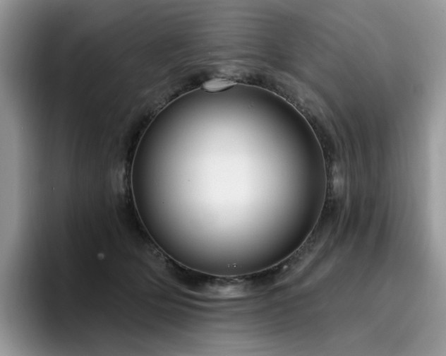 X0000094940514200711291356