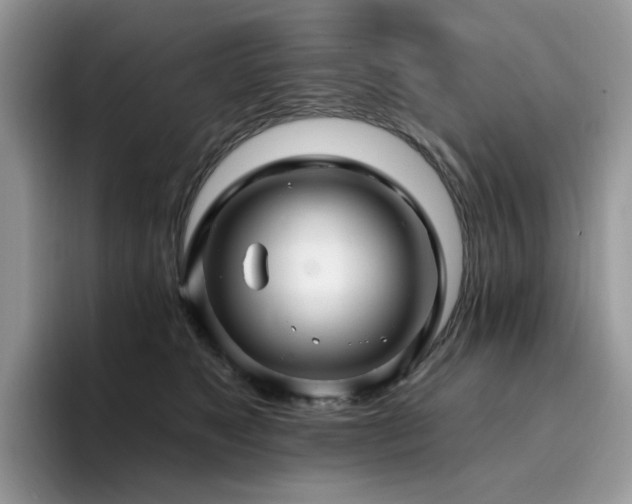 X0000094940517200711291356