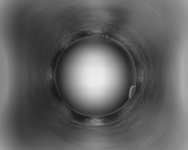X0000094940518200711291356