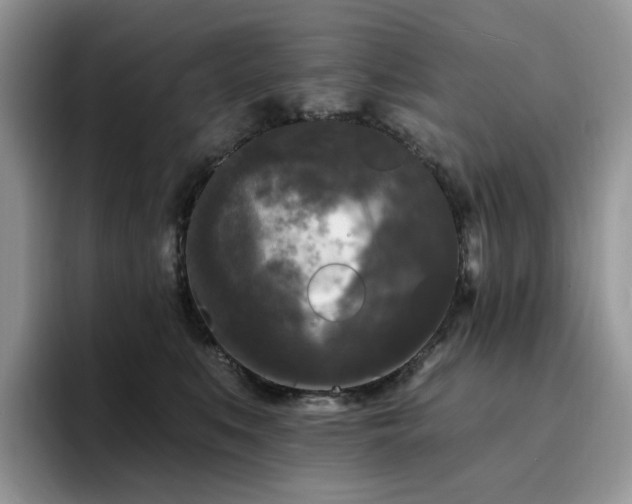 X0000094940519200711291356