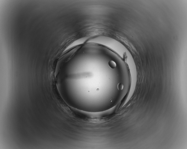X0000094940521200711291356