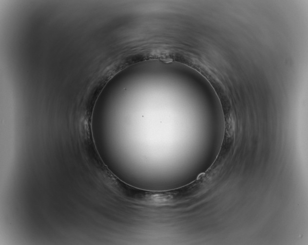X0000094940522200711291356