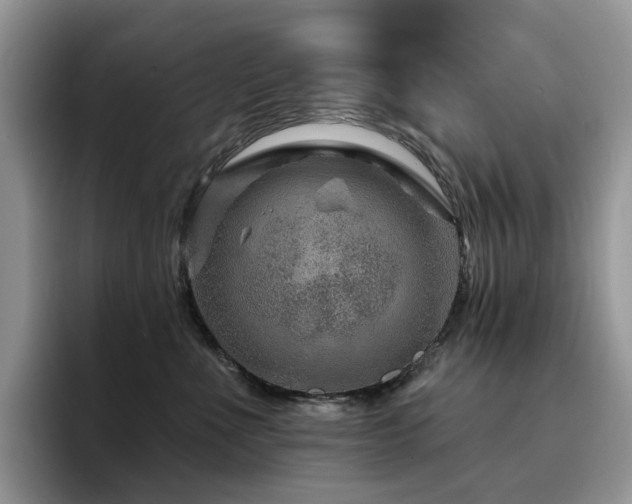 X0000094940523200711291356