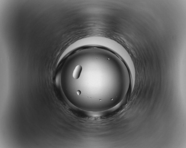 X0000094940524200711291356
