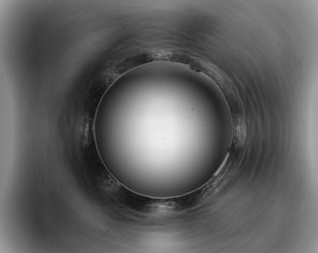X0000094940525200711291356