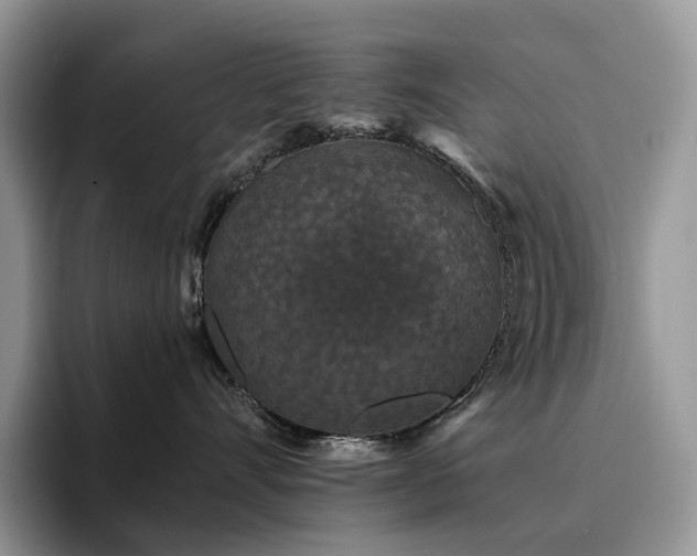 X0000094940528200711291356