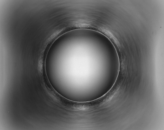 X0000094940533200711291355
