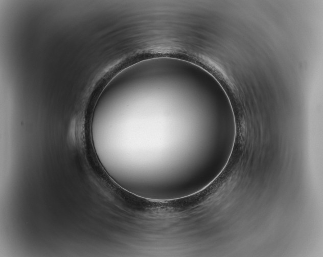 X0000094940535200711291355