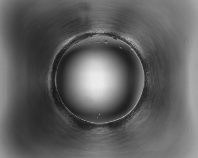 X0000094940536200711291355