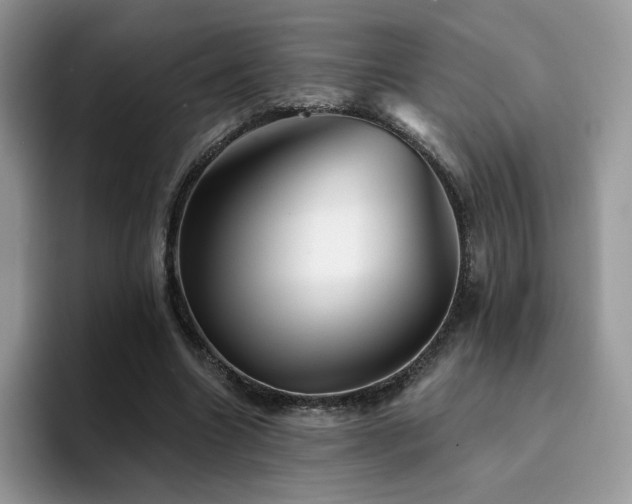 X0000094940538200711291355