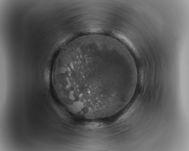 X0000094940542200711291355